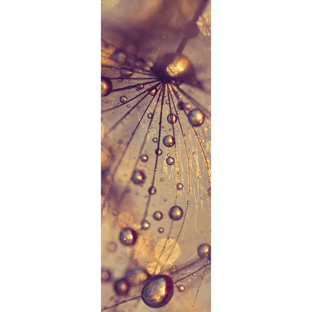Color sample Dandelion with golden drops - (96,4 x 260,5 cm) 2,511m²